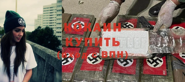 стаф Арсеньев